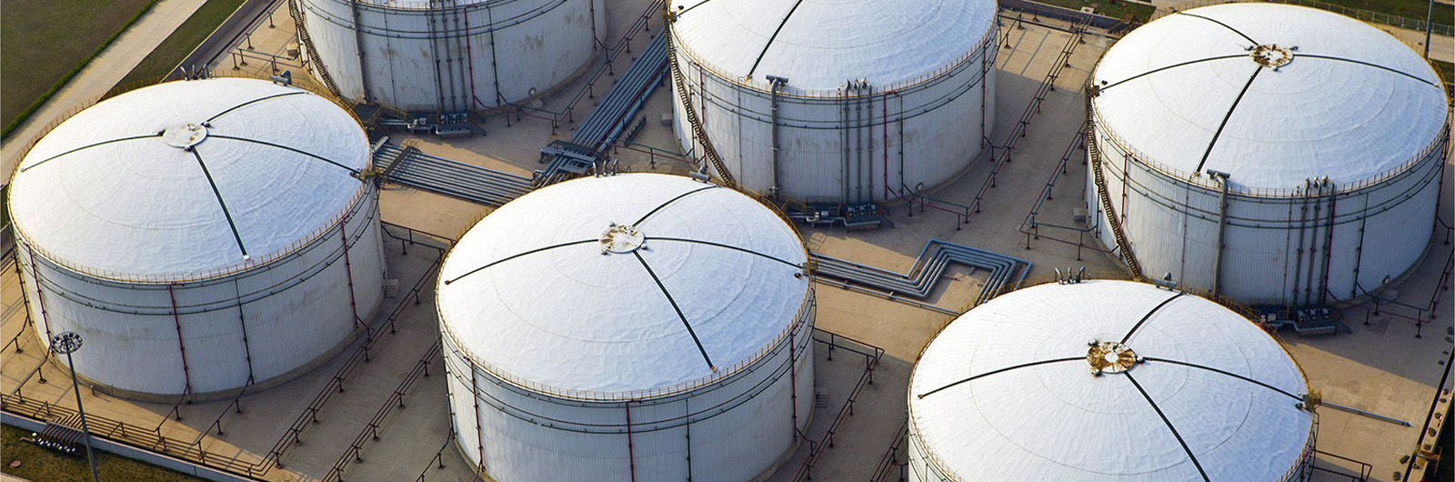 Dubai Businessman Services